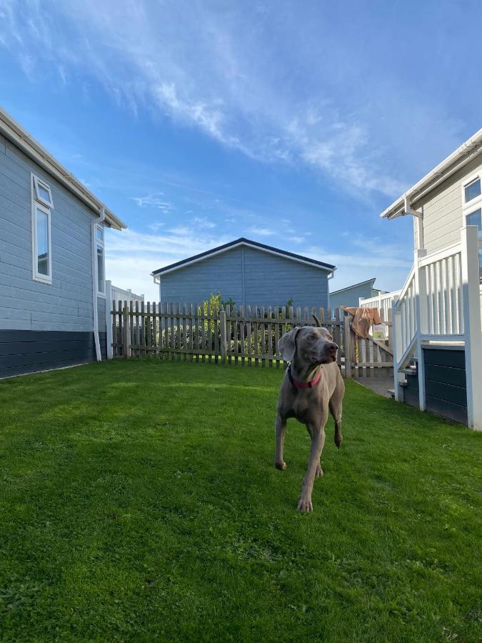 Croyde Bay Hotel Or Self Catering Kültér fotó
